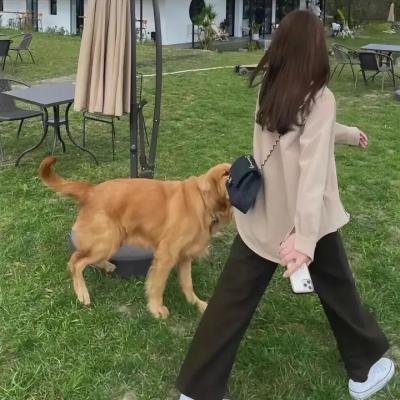 爱情上上签